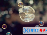 廣元2022年中考錄取報名網(wǎng)