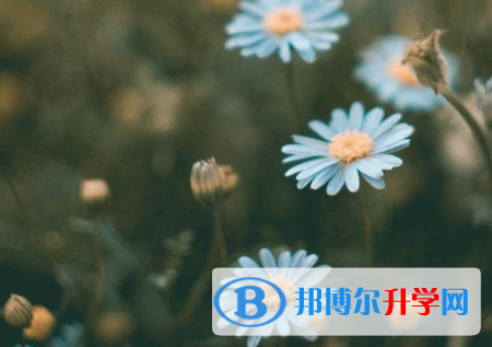 廣元2022年中考網(wǎng)上報(bào)名