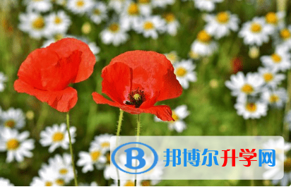 廣元2022年中考報(bào)名系統(tǒng)網(wǎng)址