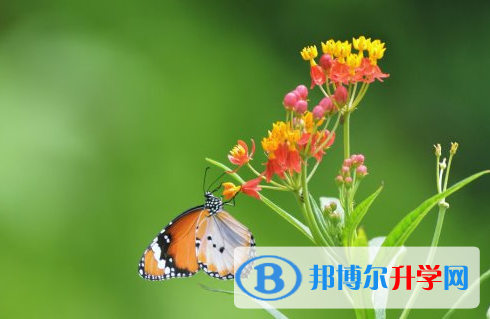 廣元2022年中考志愿填報(bào)技巧