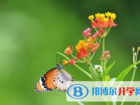 廣元2022年中考志愿填報(bào)技巧