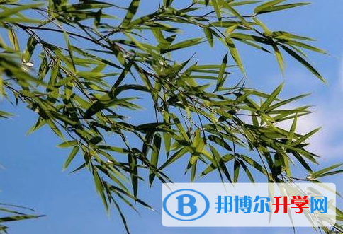 遂寧2022年中考查詢網(wǎng)