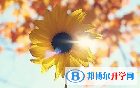 遂寧2022年中考查詢系統(tǒng)的密碼記不到了怎么辦