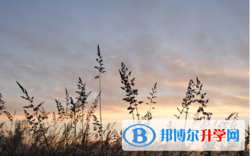 遂寧2022年中考錄取報(bào)名網(wǎng)