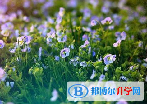 遂寧2022年中考特長(zhǎng)生招生簡(jiǎn)章