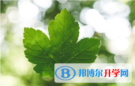 遂寧2022年中考網(wǎng)登錄