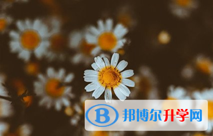 遂寧2022年中考報(bào)名服務(wù)平臺(tái)