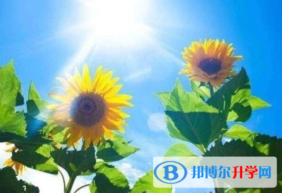 遂寧2022年中考的統(tǒng)招和調(diào)劑說明