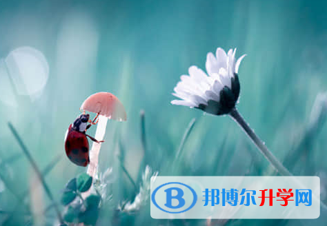 遂寧2022年中考報(bào)名是哪個(gè)網(wǎng)站