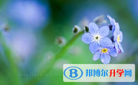 遂寧2022年中考報(bào)名網(wǎng)站是什么