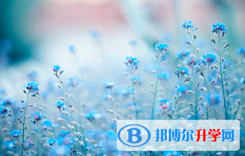 遂寧2022年中考報(bào)名志愿