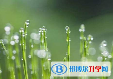 遂寧2022年中考志愿填報(bào)技巧