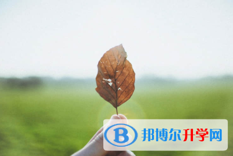 內(nèi)江2022年中考填志愿的網(wǎng)站