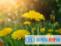 內(nèi)江2022年中考重點(diǎn)線預(yù)測(cè)