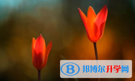 內(nèi)江2022年中考報(bào)名是哪個(gè)網(wǎng)站