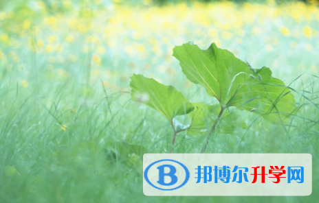 內(nèi)江2022年中考報(bào)名網(wǎng)址