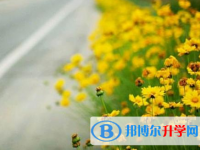 樂山2022年近年中考重點(diǎn)線