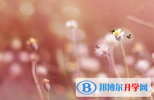 樂山2022年中考報(bào)名自薦信怎么寫