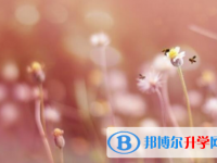 樂(lè)山2022年中考報(bào)名自薦信怎么寫(xiě)