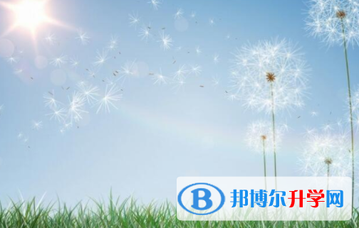 樂山2022年中考志愿填報(bào)網(wǎng)址