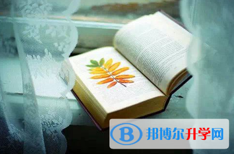 南充2022年中考報(bào)考指南