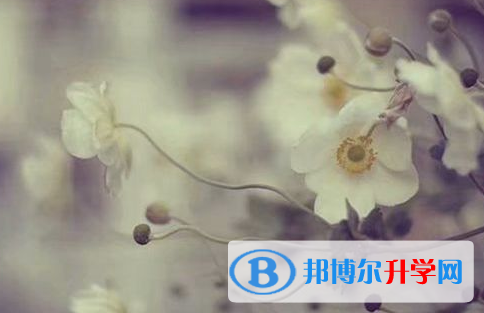 南充2022年中考報名系統(tǒng)