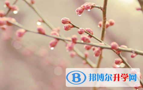 南充2022年中考報(bào)名是哪個(gè)網(wǎng)站