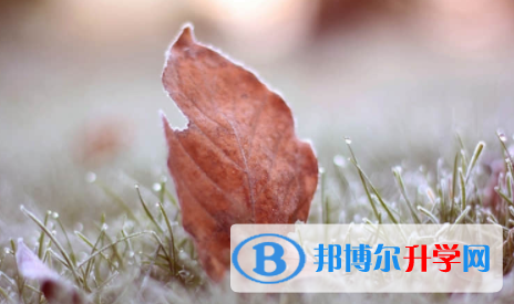 南充2022年中考報(bào)名網(wǎng)站是什么