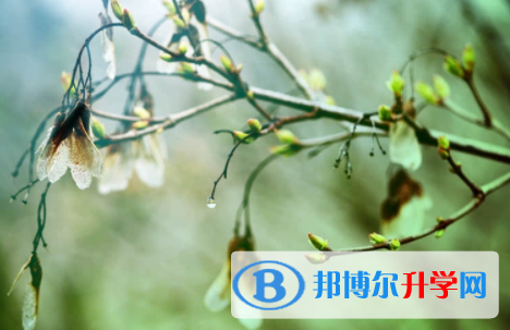 南充2022年中考網(wǎng)上志愿如何打印