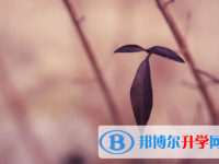 眉山2022年中考錄取報(bào)名網(wǎng)