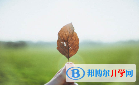 眉山2022年中考網(wǎng)報(bào)