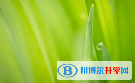 眉山2022年中考報(bào)名服務(wù)平臺(tái)