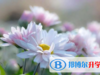 眉山2022年中考報(bào)名自薦信怎么寫