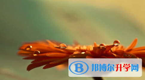 眉山2021年中考報(bào)名網(wǎng)站登錄