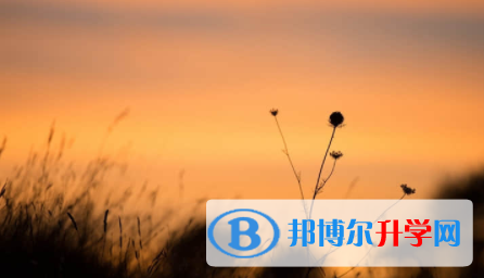 眉山2021年中考模擬填報(bào)志愿