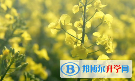 眉山2022年中考志愿填報(bào)網(wǎng)址