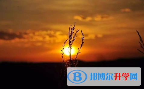 宜賓2022年生物中考會(huì)考試卷