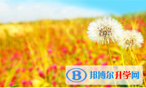 宜賓2022年中考錄取報(bào)名網(wǎng)