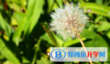 宜賓2022年中考準(zhǔn)考證