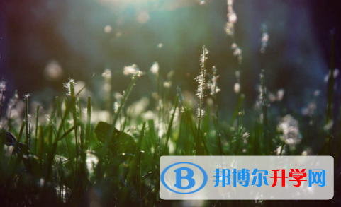 宜賓2022年中考有不有補(bǔ)錄