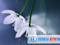 宜賓2022年中考的報(bào)名號(hào)是什么