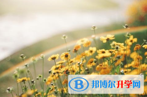 宜賓2022年中考報(bào)名自薦信怎么寫(xiě)