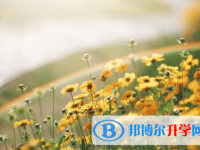 宜賓2022年中考報(bào)名自薦信怎么寫(xiě)