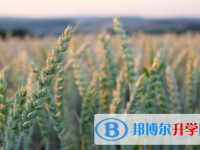 宜賓2022年中考志愿填報(bào)網(wǎng)址