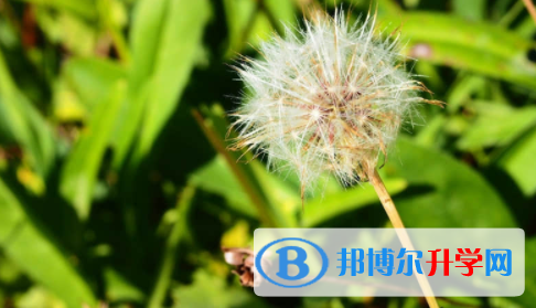 廣安2022年中考報(bào)名網(wǎng)站