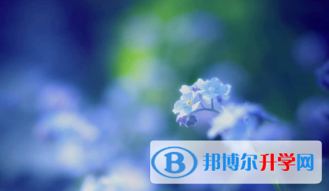 廣安2022年中考考點(diǎn)有哪幾個