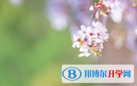 廣安2022年中考錄取報(bào)名網(wǎng)