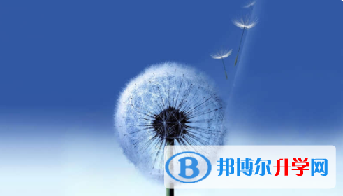 廣安2022年中考網(wǎng)報