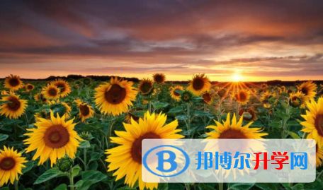 廣安2022年中考網(wǎng)上報(bào)名