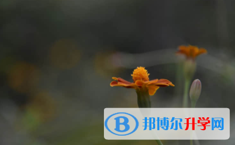 廣安2022年中考網(wǎng)上報名模擬